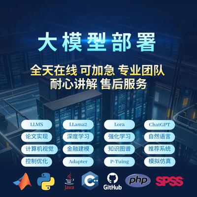 Lora扩GPT扩散专业团队可加急