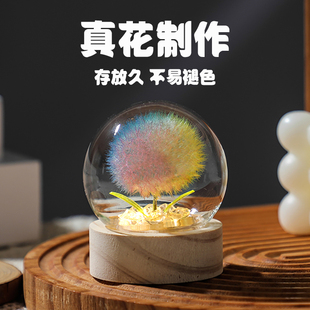 发光蒲公英小夜灯玻璃罩永生干花束高级感同学女友七夕节生日礼物