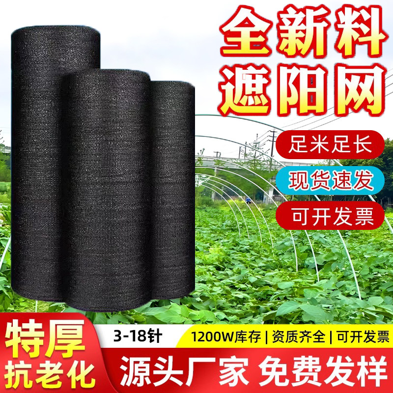 遮阳网蔬菜大棚农用网