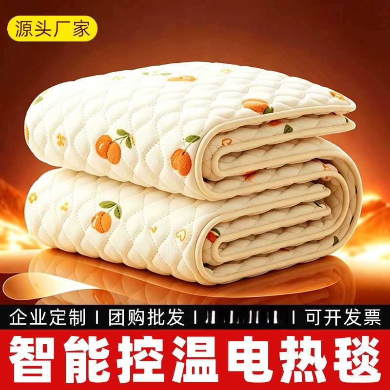 家用水暖电热毯单人双人双控智能