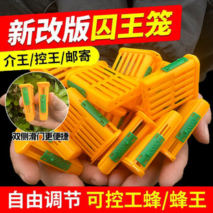 2024新款中意蜂囚王笼多功能塑料王笼蜂王笼养蜂介王笼邮寄王笼