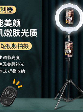 10寸LED补光灯间摄影打光灯 折叠三脚架支架手机环形灯双色温