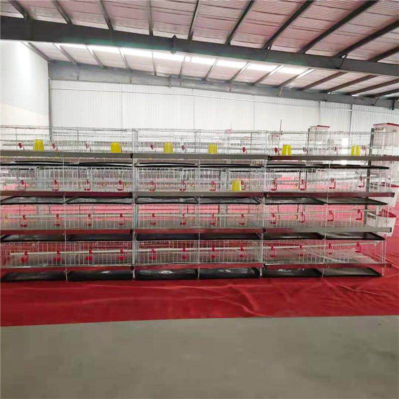 小阶鸡笼养殖场蛋鸡笼家用鸡鸭特大号三层双边梯式镀子vnq铁丝锌