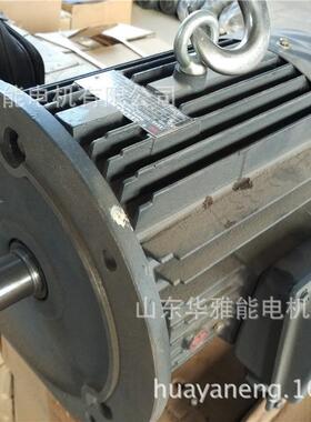 0可SPV替代湘潭V电机Y卧E590S-6-.75KW立式式上线侧线380IP55电机