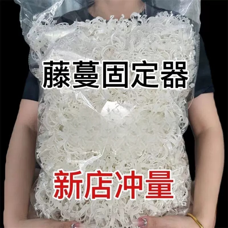绿植果树植物固定夹卡扣藤蔓固定
