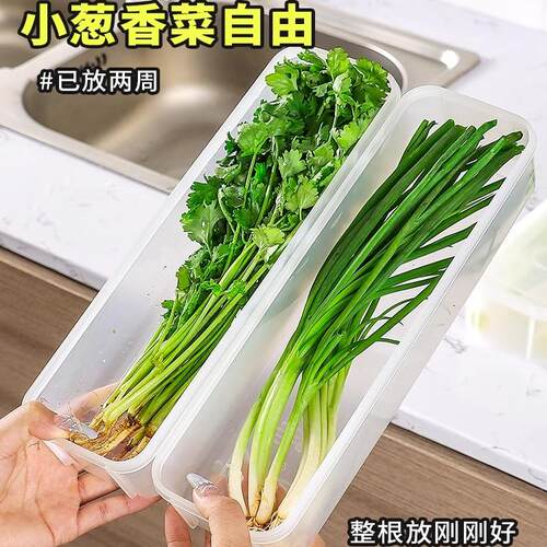 香菜大葱小葱保鲜盒冰箱收纳芫荽整根保鲜神器环保级面条鸡蛋备菜
