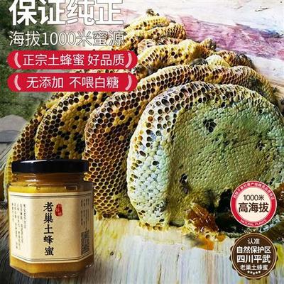 【保证纯正】高山土蜂蜜正宗野生老巢蜜百花蜜天然无添加不加白糖