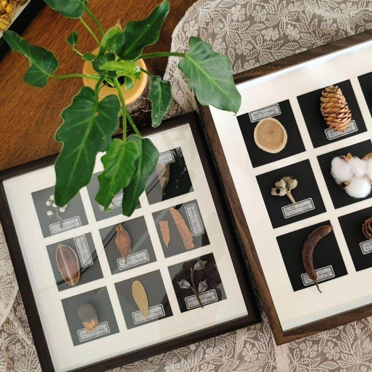 中空3/5CM相框九宫格手工diy干花植物果实标本展示框正方形画框,家居饰品,相框/画框,淘宝优惠券,粉丝福利购,淘宝优惠卷