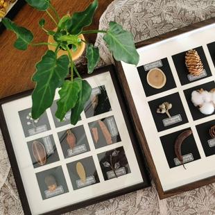 中空3/5CM相框九宫格手工diy干花植物果实标本展示框正方形画框