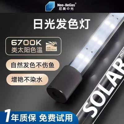 新款二代尼奥鱼缸灯SOLAR增艳发色雷龙专用led金鱼兰寿龙鱼防水灯