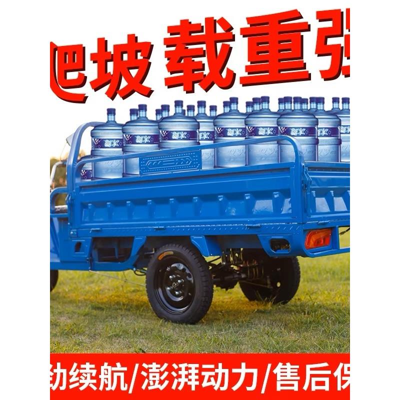 电动三轮车拉货载重王三轮电动电瓶车家用大型农用三轮车摆摊快递