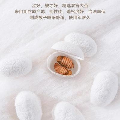 桐乡蚕丝被100桑蚕丝四被子提花秋被LR—8817季子春被双宫长母丝