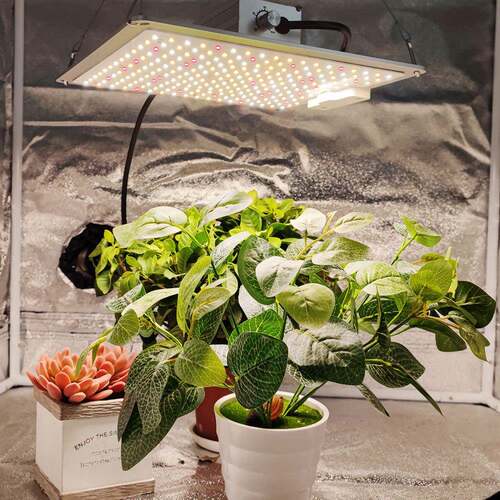 植物物照面明灯工厂CYI量子板板植物灯全光谱led植生长灯