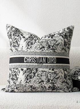 系列客厅沙抱枕垫轻奢发靠枕酒店展厅靠枕套F977STSH定制靠抱枕