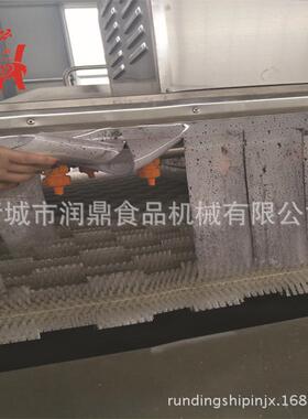 中央厨果全自房动毛刷蔬清机 大枣清洗机 滚动式毛辊去洗皮设备