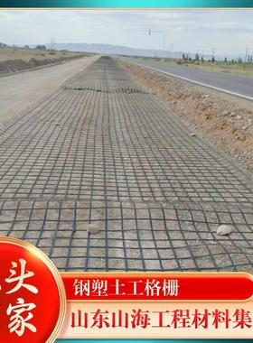 钢塑格栅厂GSGS30点-30双向土格栅路基加固GSZ凸节家土工工格栅