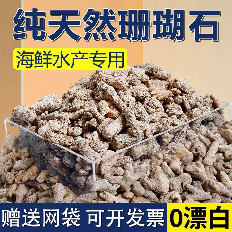 珊瑚石滤材海鲜水产过滤专用淡海水鱼缸纯天然珊瑚骨鱼池珊瑚底砂,宠物/宠物食品及用品,过滤材料,淘宝优惠券,粉丝福利购,淘宝优惠卷