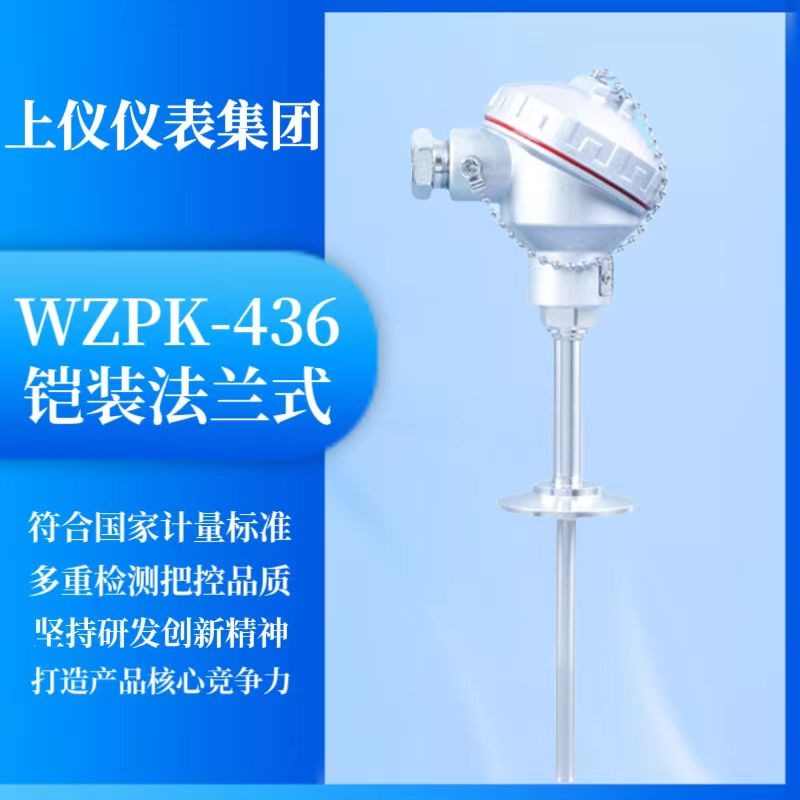 上仪热电阻WZPK-436 pt100温度传感器精度A级 -50-200 法兰DN25