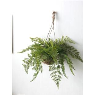 北欧高端蕨类人造植物墙饰，藤挂，花篮挂，藤挂，家居挂饰