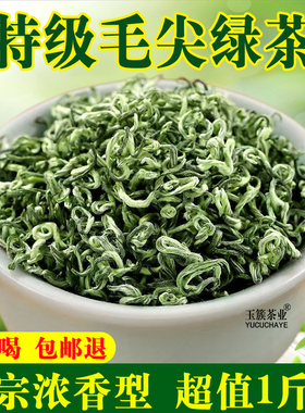 特级毛尖绿茶2025新茶贵州云雾茶叶浓香型耐泡茶叶自己喝袋装500g