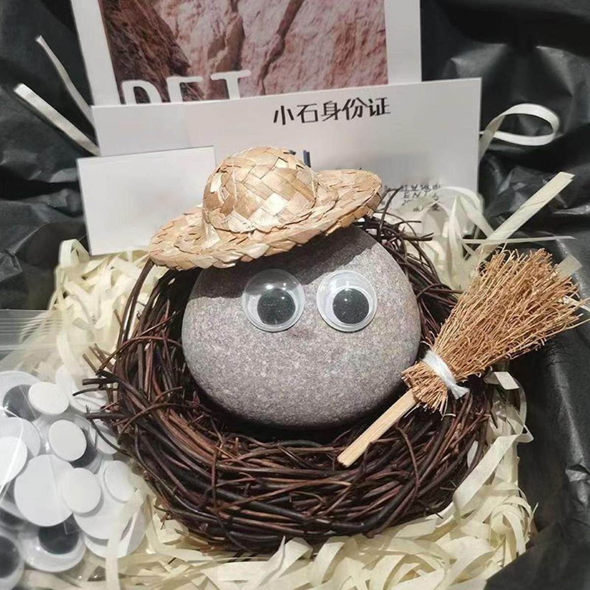 思瑞月阁可以养的小宠物石头装饰配件宠物适合小孩子养的网红帽子,家居饰品,装饰摆件,淘宝优惠券,粉丝福利购,淘宝优惠卷