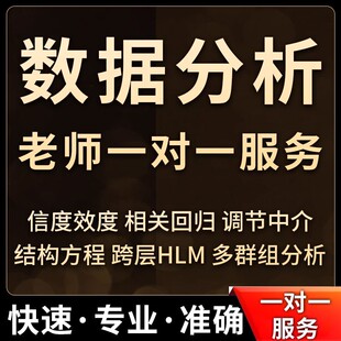 spss数据代分析调整stata实证数据分析spss