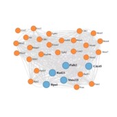 PPI蛋白互作图 Cytoscape作图 网络图 网络药理学