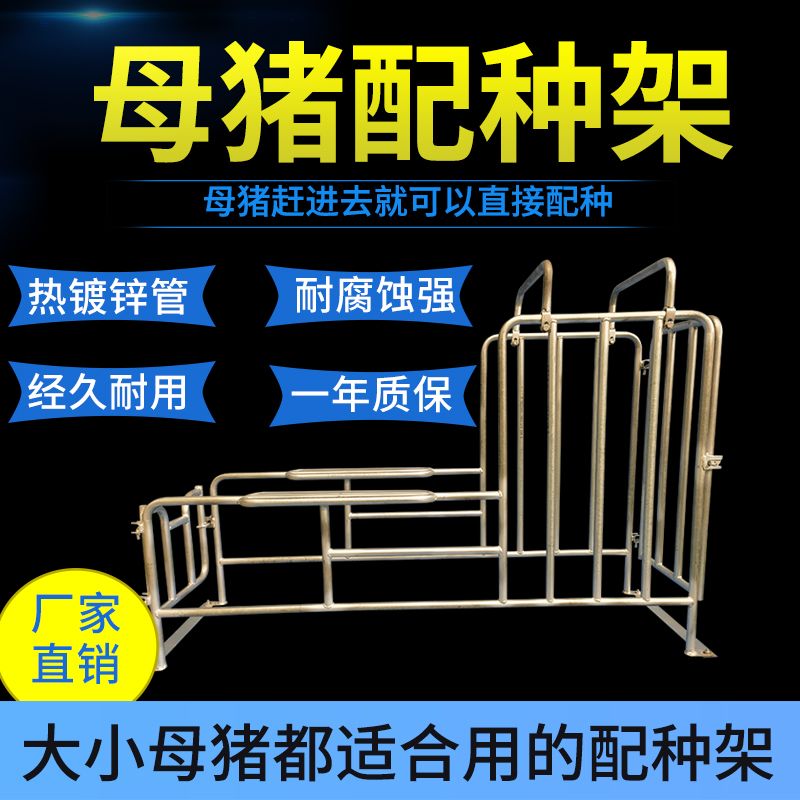 母猪配种架猪用受精支架