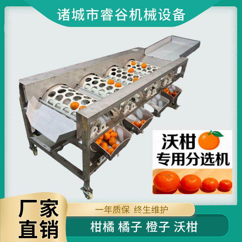 水果分选机 蜜橘拣果机 大小分级机 橙子苹果柠檬圆形水果筛选