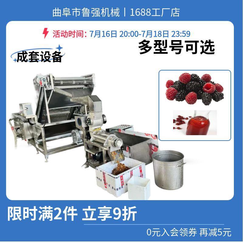 蓝莓榨汁机 厂家供应蓝莓破碎榨汁机价格 1吨蓝莓清洗榨汁机