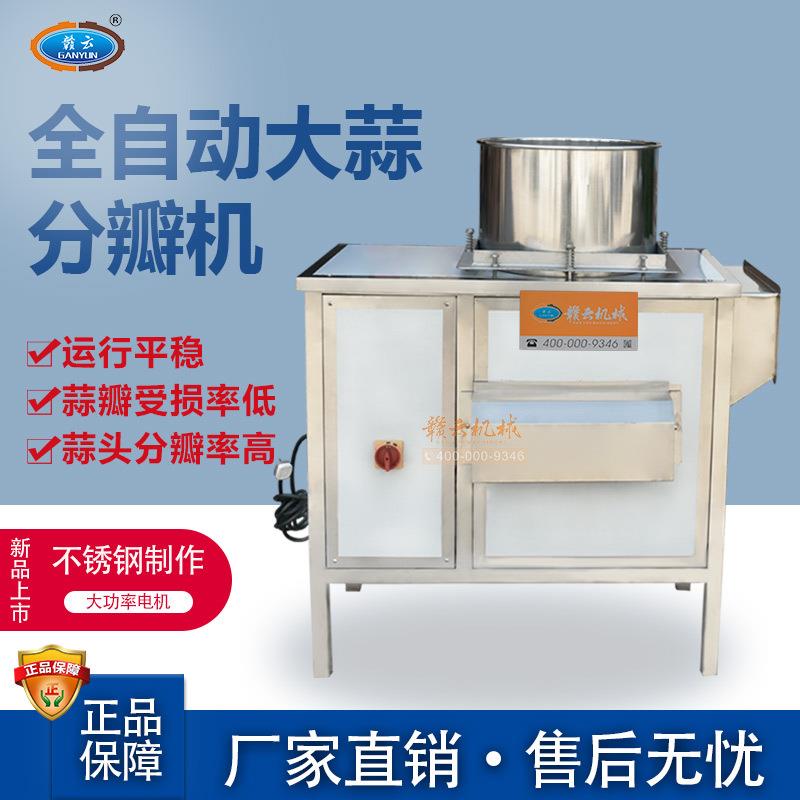 机械生产商用大蒜分瓣机把整个大蒜一个个分开再用脱皮机去皮