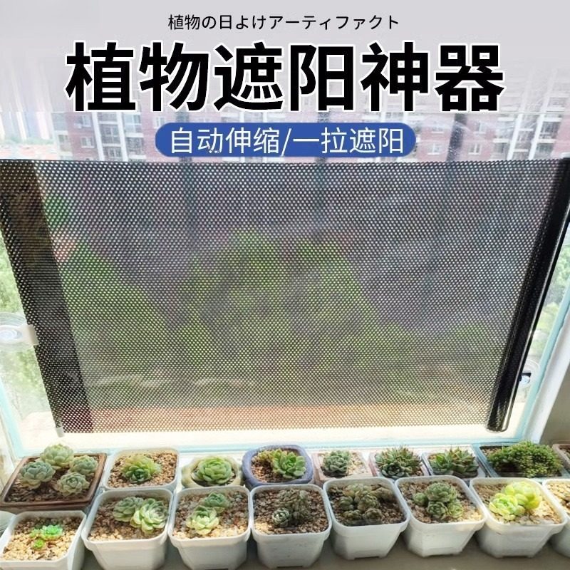 植物遮阳神器吸盘式窗户伸缩