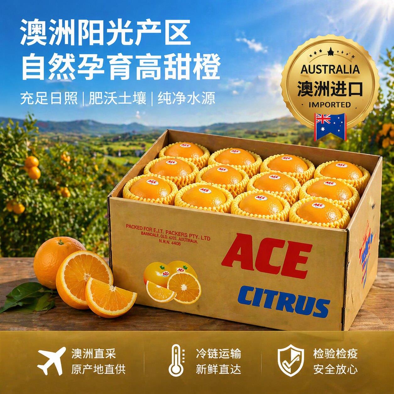 澳洲ACE进口橙 新鲜当季脐橙 水果甜橙手剥橙中秋水果礼盒
