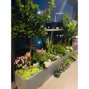 阳台花箱卡台阶庭院室内露台金属花槽造景组合定制铁艺户外成品箱