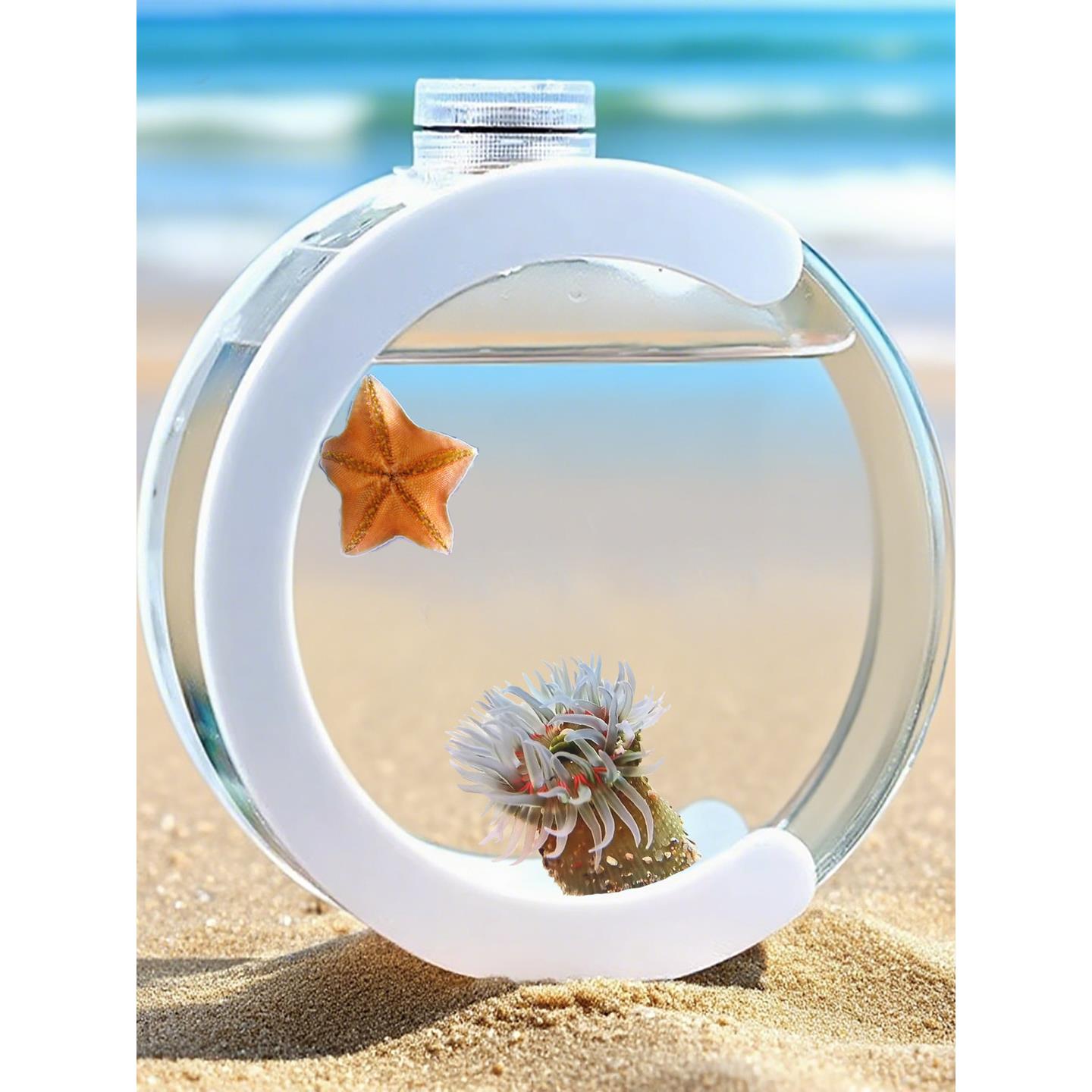 活体海星水母生态瓶客厅桌面缸迷你宠物养殖海葵迷你好养小鱼缸