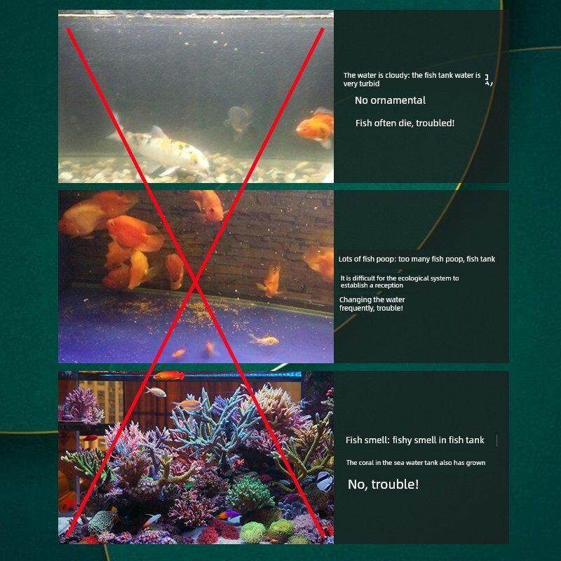 鱼缸活性炭滤料水族海鲜水产椰壳碳去腥除黄净水鱼池滤料,宠物/宠物食品及用品,过滤材料,淘宝优惠券,粉丝福利购,淘宝优惠卷