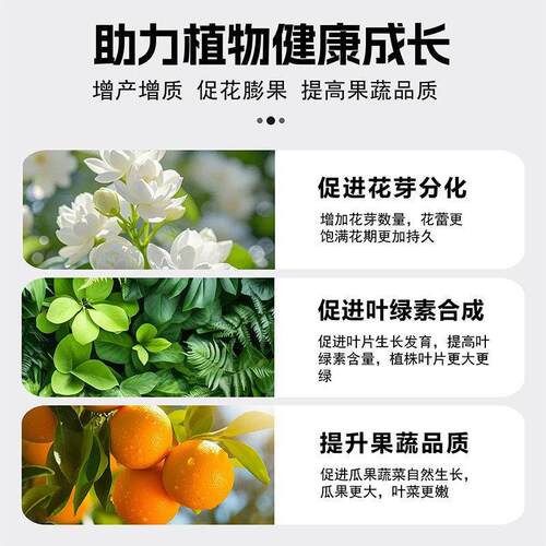 尿素肥料蔬菜专用农用种菜速效氮肥玉米种植专用复合肥料土壤种花