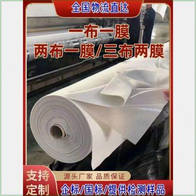 包检测复合土工膜两布一膜防水土工布鱼塘防渗膜蓄水池防水布