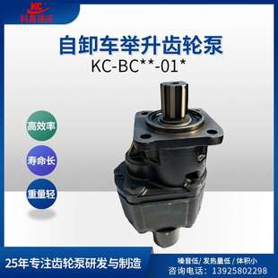 BC众德规格自卸车高压液压齿轮油泵海沃翻斗车侧出后出泵 科昌KC