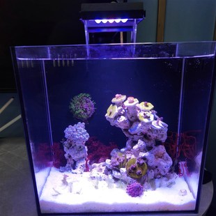可定时调光18瓦珊瑚灯30方海缸海水鱼缸小丑鱼珊瑚背滤缸海水缸
