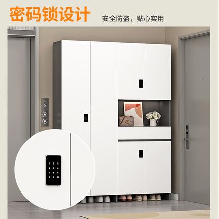 鞋柜入户门口家用2025新款楼道走廊带锁室外电梯口储物柜鞋柜一体