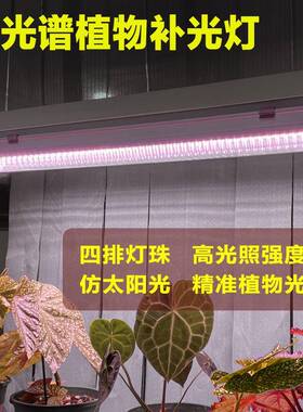 全光谱20植肉物灯管育苗生长灯四排LED室内家用PBC花上卉色T多补