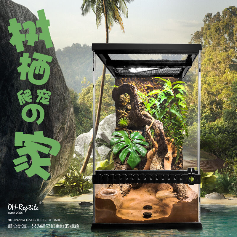 宠物树蛙睫角守宫原生态景观雨林缸树J栖爬宠饲养缸爬虫玻璃缸