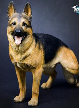 1/6德国牧羊犬模型 警犬狼狗桌C面摆件仿真德牧狗树脂手办动物饰