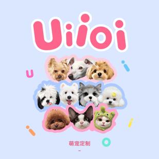 UiiOi萌宠物画像定制手绘可爱猫咪狗狗电子版 卡通插画头像礼物