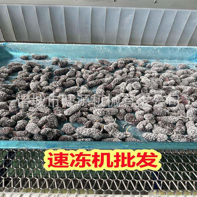 水冷隧道式速冻机 水果丁流态化冷冻线 节能冷冻加工生产设备