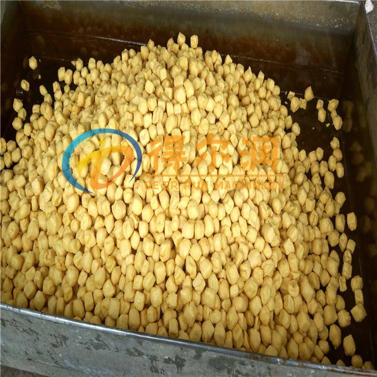 畅销豆泡豆干油炸机 电、气加热 用油量少 自动控温 刮渣