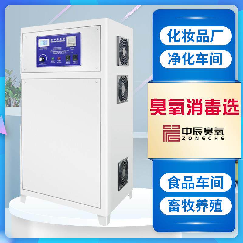 50g小型臭氧发生器食品制化妆车间和水处理两用臭氧机