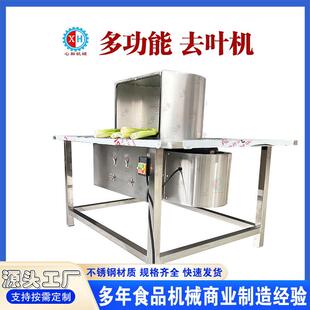 棒芹去叶机香芹摘叶机 快速摘香菜叶机器 立式去叶机果蔬加工设备