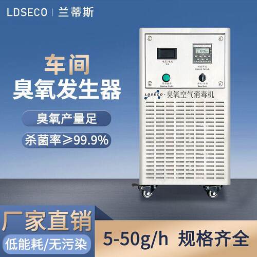 兰蒂斯10g 100g食品车间臭氧消毒机 中央厨房杀菌臭氧发生器